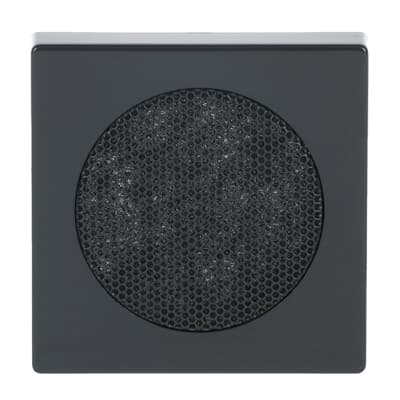 BUSCH-JAEGER 8253-81 Zentralscheibe Lautsprecher Plattform  63 anthrazit glänzend