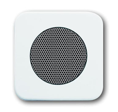 BUSCH-JÄGER Zentralscheibe