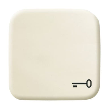 BUSCH-JÄGER Wippe mit Aufdruck Schlüssel