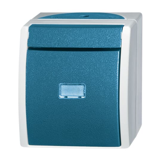 BUSCH-JÄGER Wippschalter Aus- und Wechselschaltung