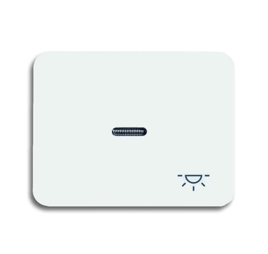 BUSCH-JÄGER Wippe mit Aufdruck mit kleiner transparenter Kalotte