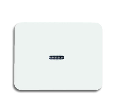 BUSCH-JÄGER Wippe mit kleiner transparenter Kalotte