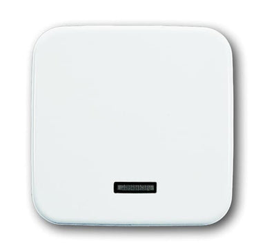 BUSCH-JÄGER Bedienelement mit Glimmlampe