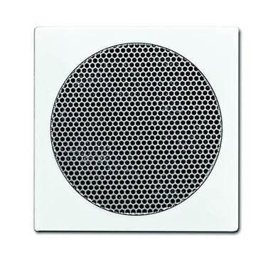 BUSCH-JÄGER Zentralscheibe