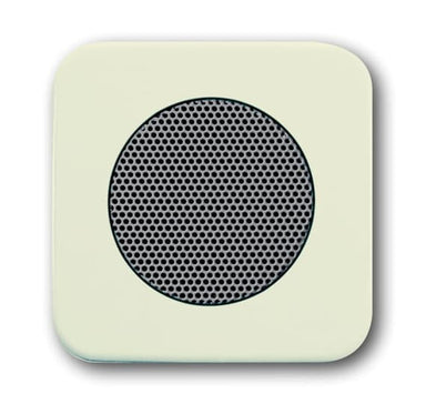 BUSCH-JÄGER Zentralscheibe