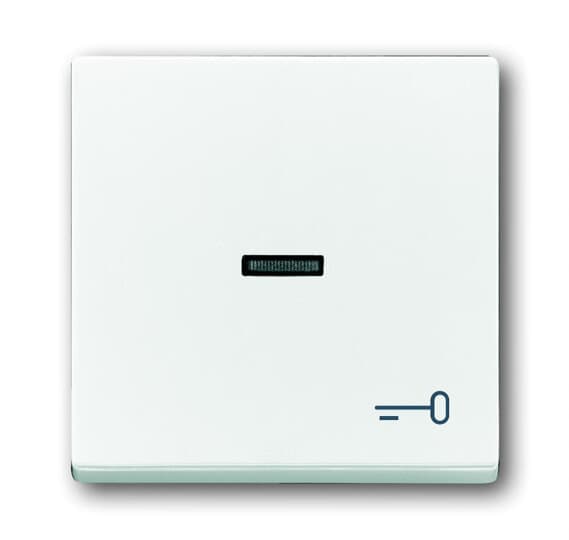 BUSCH-JÄGER Wippe mit Aufdruck mit kleiner transparenter Kalotte