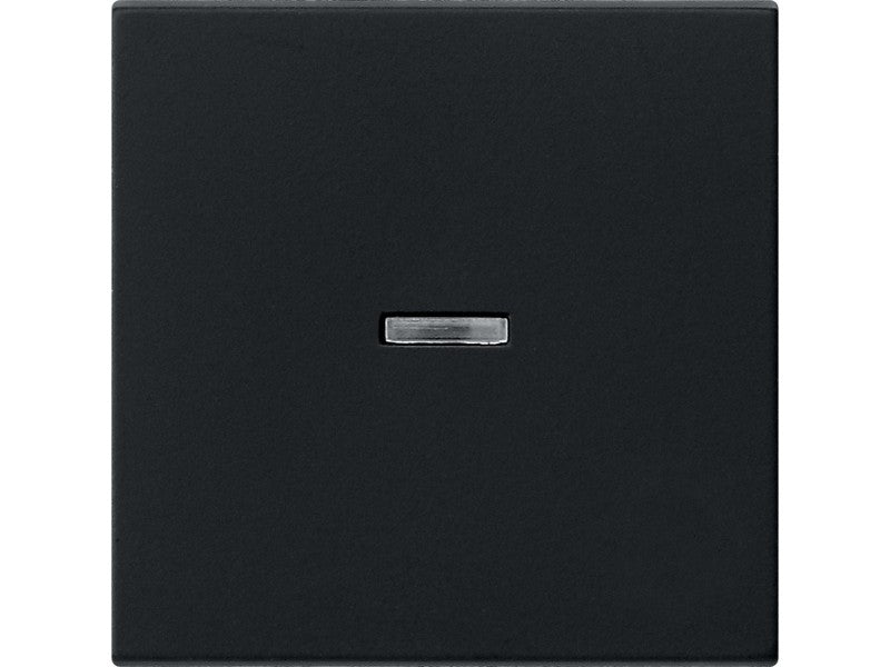 GIRA 0290005 Wippe mit Kontrollfenster, Schwarz matt