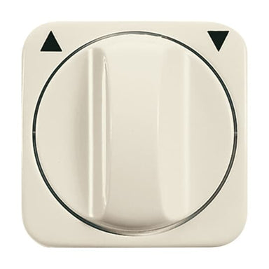 BUSCH-JÄGER Zentralscheibe mit Drehgriff, mit Aufdruck