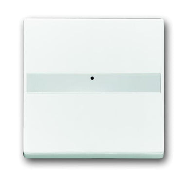 BUSCH-JÄGER Wippe mit Beschriftungsfeld